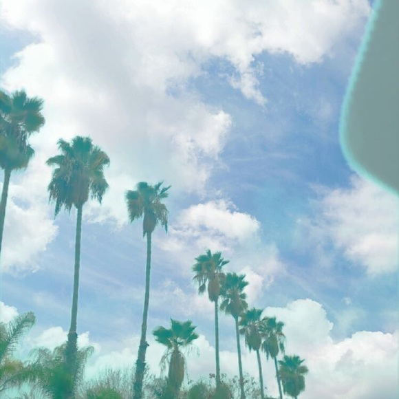 Meet your Posher, Richard Chevez - Picture 3 of 10